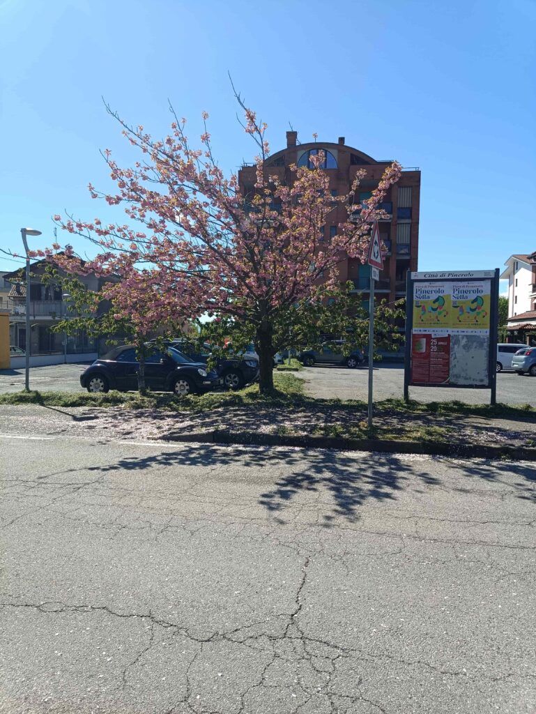 Pinerolo – Semana 4