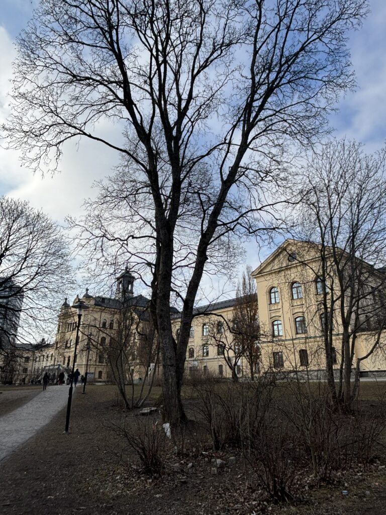 Estocolm: Descobrint el Montessori Mondial